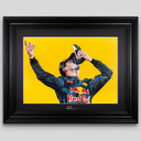 Daniel Ricciardo 2016 Limited Edition Prints